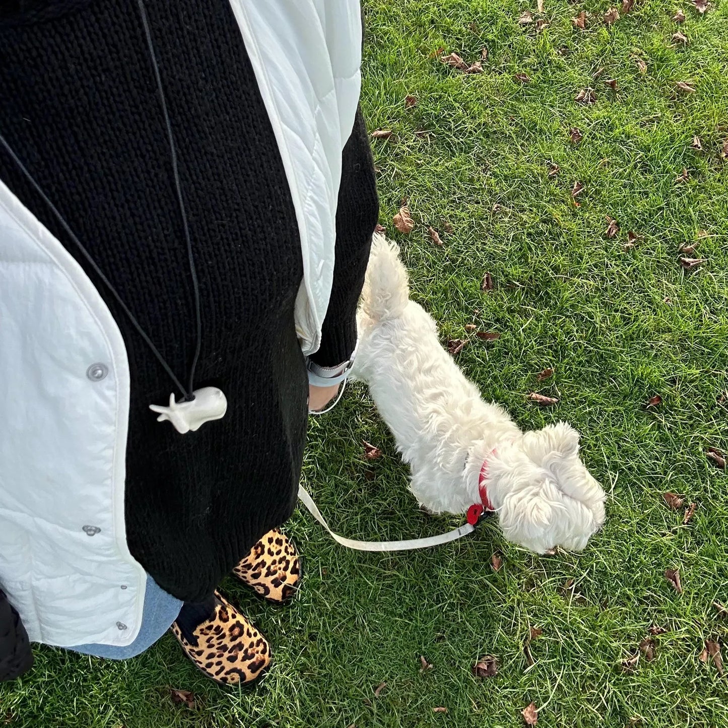 Керамічний підвіс Коза