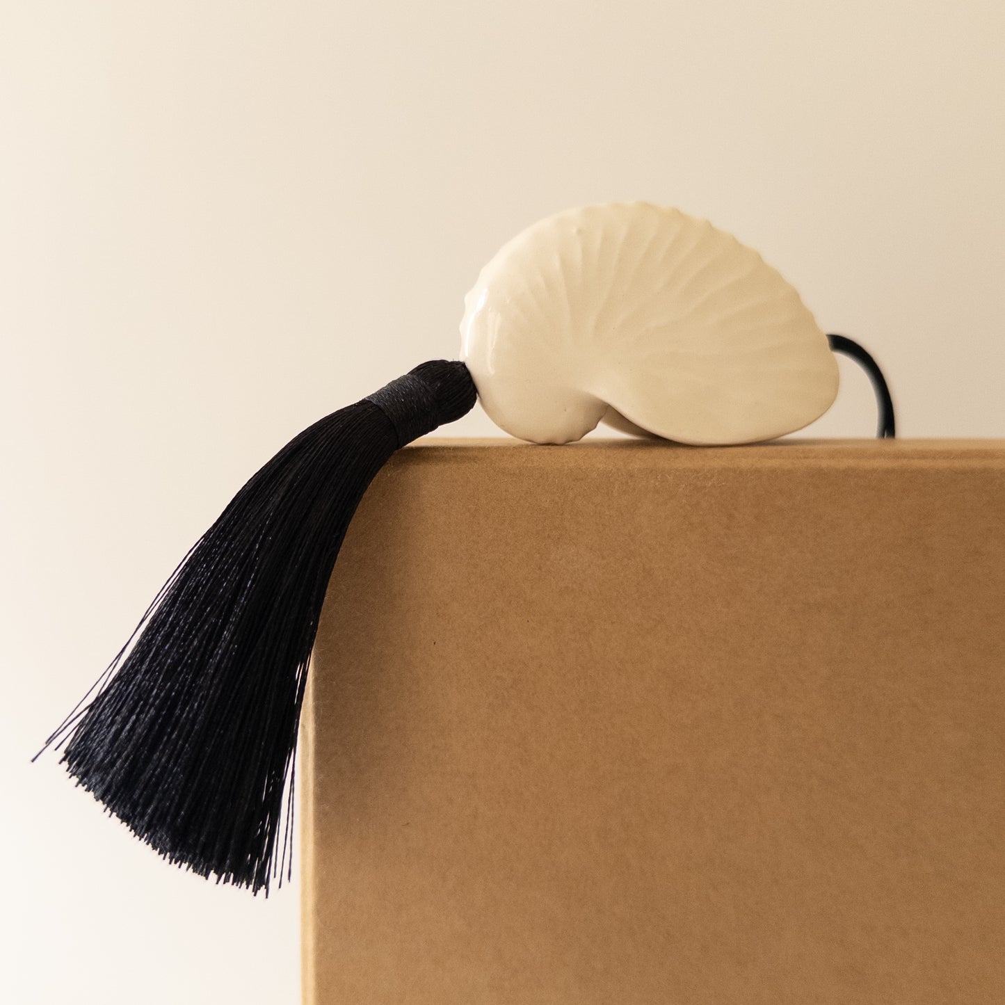 Мушля Октопус з китицею