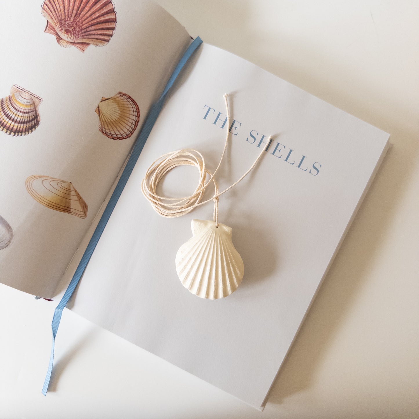 Shell Comb mini [double] white