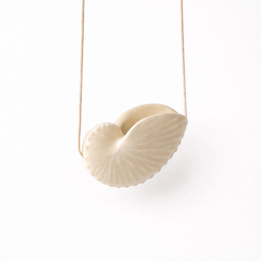 Octopus Shell