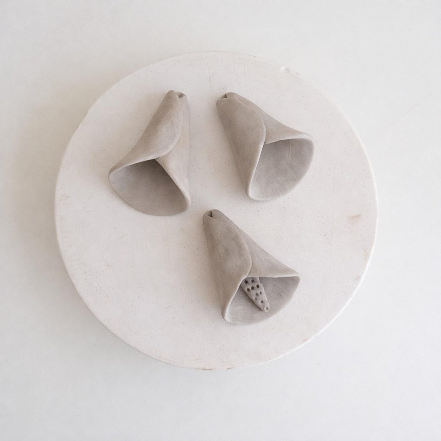 Кала з китицею